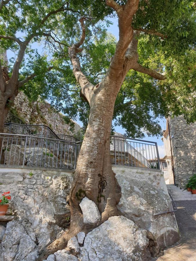 Casa Di Mamma Rosa Villa Castelnuovo Parano Dış mekan fotoğraf